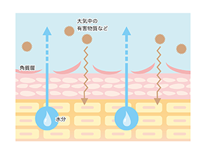 説明画像（ブログ用）.png