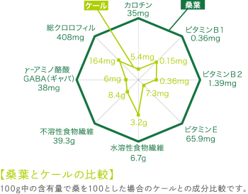 【専用】桑の葉美人　93包