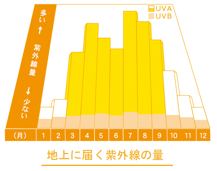 効果的な使い方 効果的な使い方