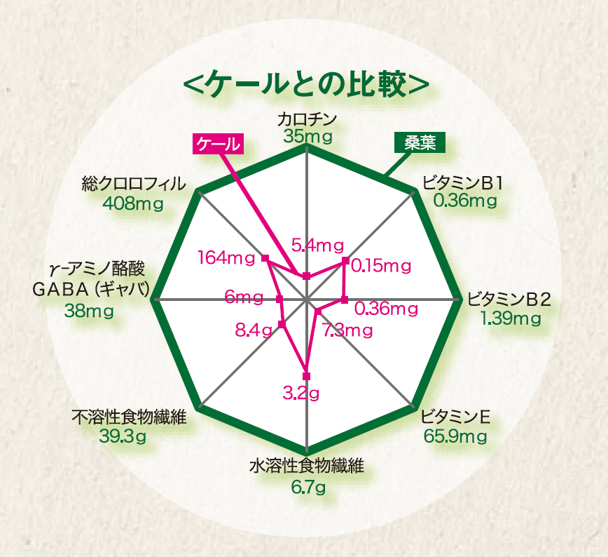 「桑」とはどんな植物? 「桑」とはどんな植物?