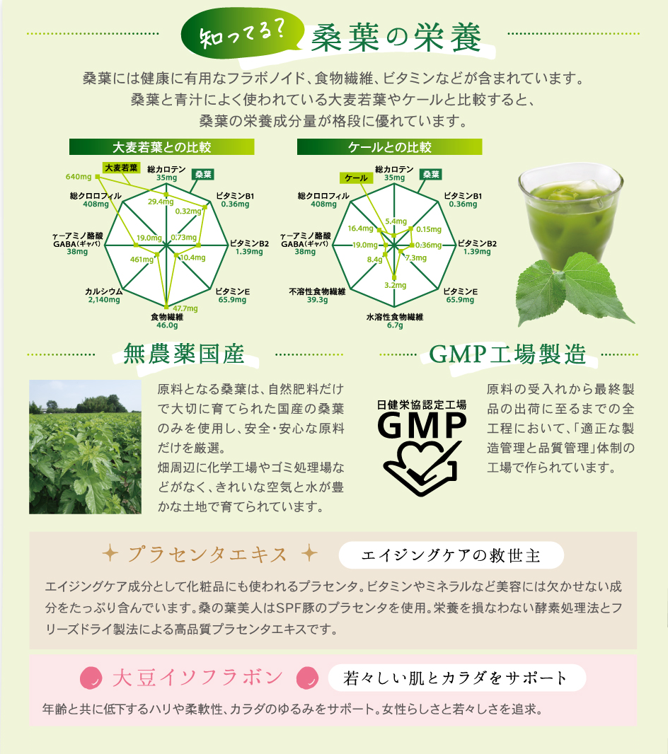 桑の葉について