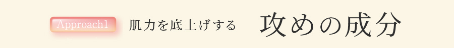Approach1 肌力を底上げする　攻めの成分