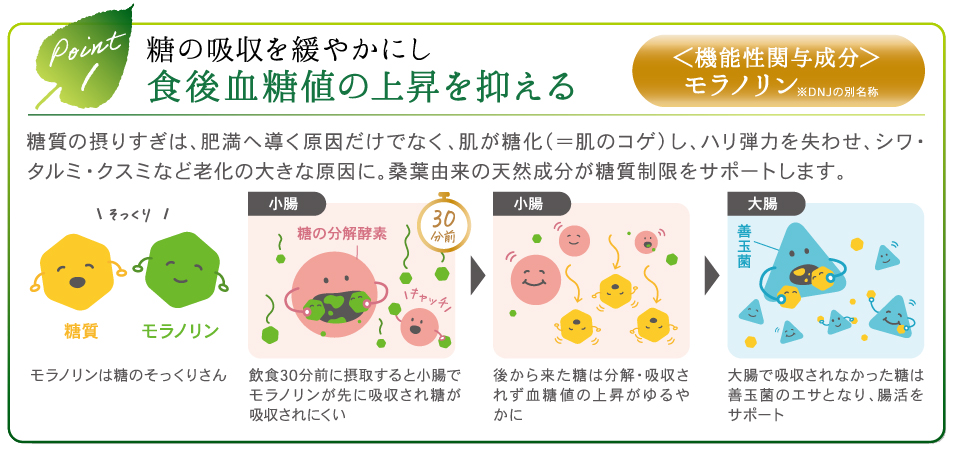 Point 1 糖の吸収を緩やかにし食後血糖値の上昇を抑える