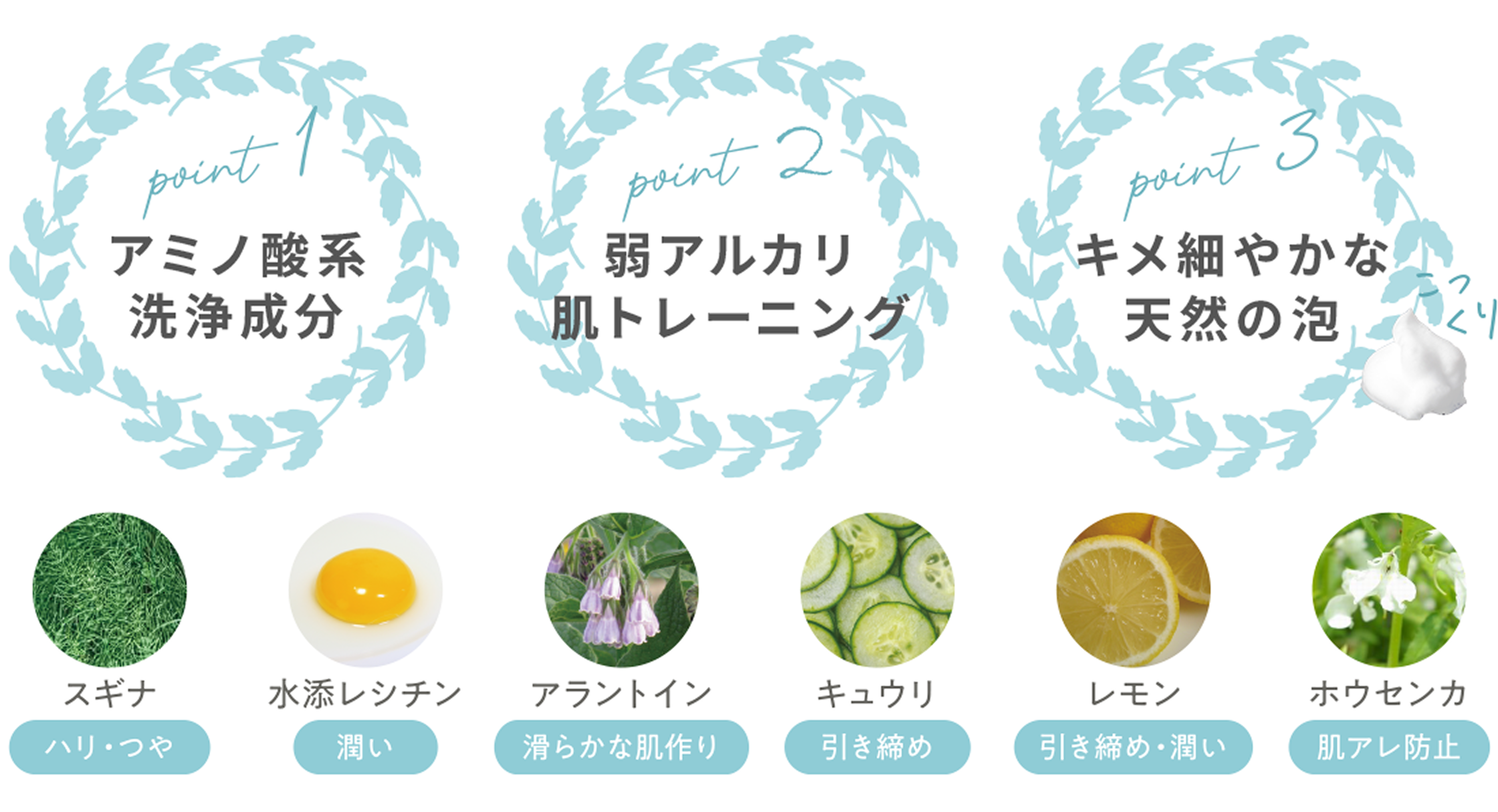 point1 アミノ酸系洗浄成分 point2 弱アルカリ肌トレーニング point3 キメ細やかな天然の泡 配合成分：スギナ・水添レシチン・アラントイン・キュウリ・レモン・ホウセンカ
